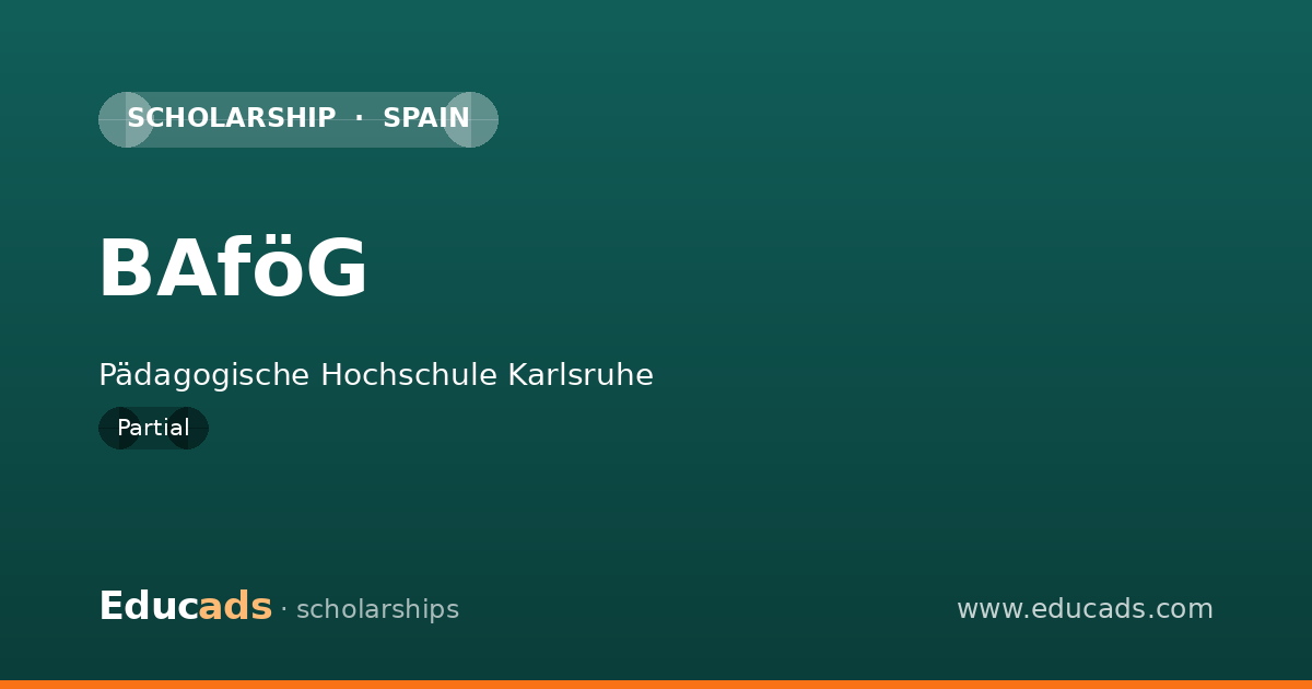 BAföG scholarship