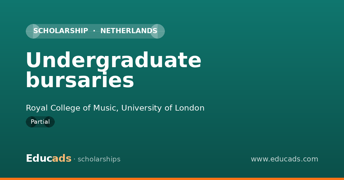 Undergraduate bursaries scholarship