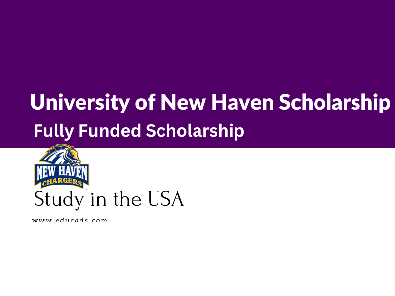University Of New Haven Scholarship Fully Funded 2024