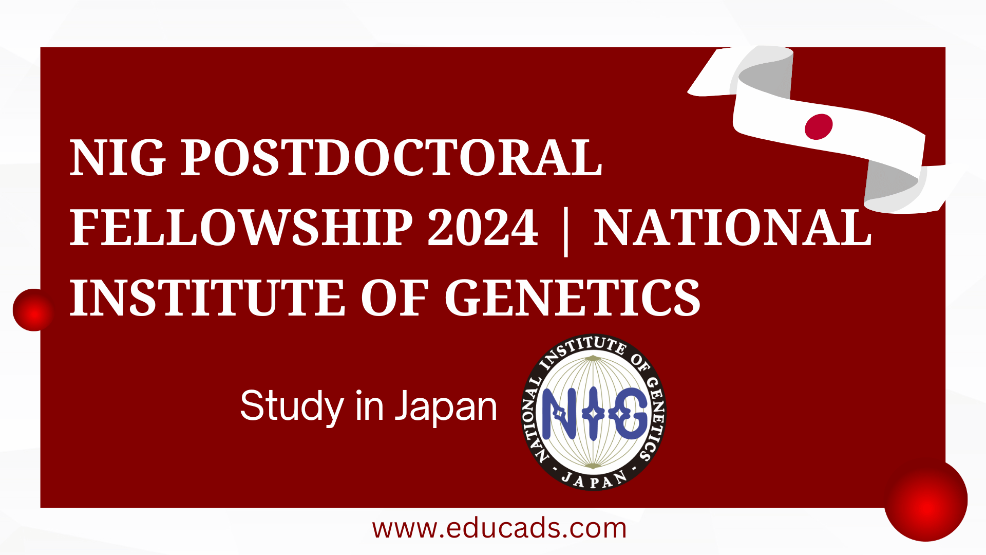 NIG Postdoctoral Fellowship 2024 National Institute Of Educads